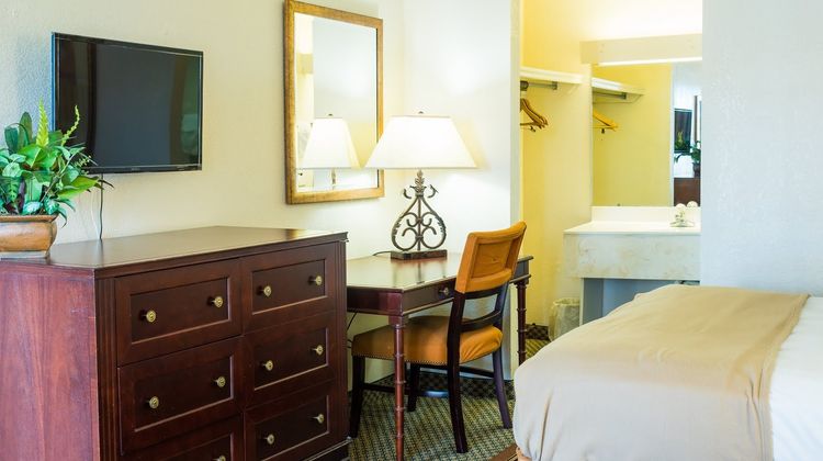 Vista Inn & Suites of Tampa Room