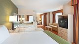 Holiday Inn Express & Suites Suite