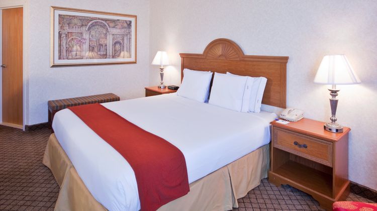 Holiday Inn Express Flint-Campus Area Room