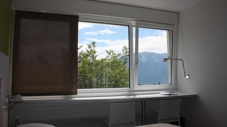Le Leman Hotel Other