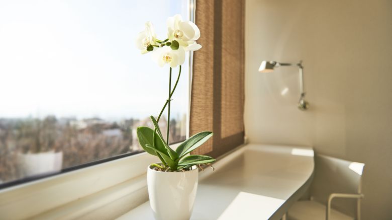 <b>Le Leman Hotel Room</b>. Images powered by <a href="https://www.leonardoworldwide.com/" title="Leonardo Worldwide" target="_blank">Leonardo</a>.