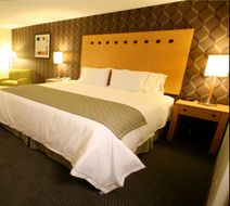 Holiday Inn Express Monterrey Aeropuerto Room