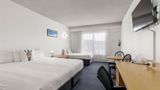 Zebra Motel Room