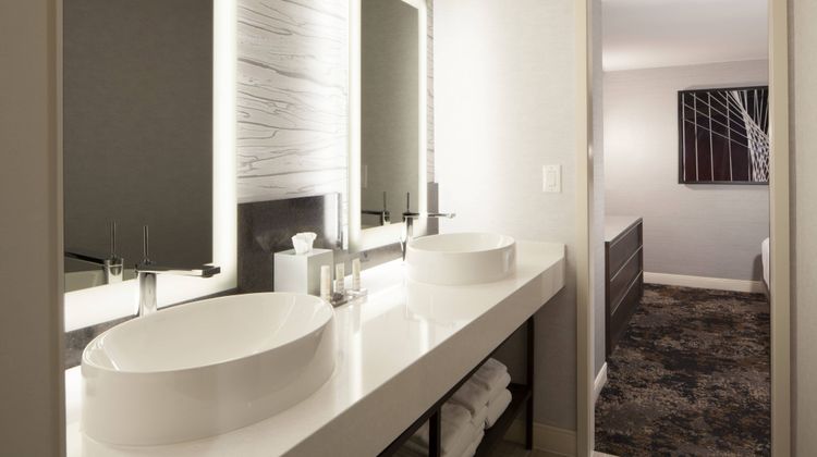 Dallas/Fort Worth Airport Marriott Room