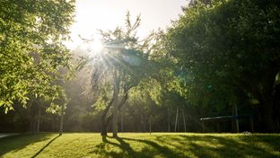 Dawn Ranch