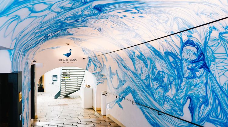 Blaue Gans Arthotel Lobby