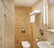 Ginger Bhubhaneshwar Room