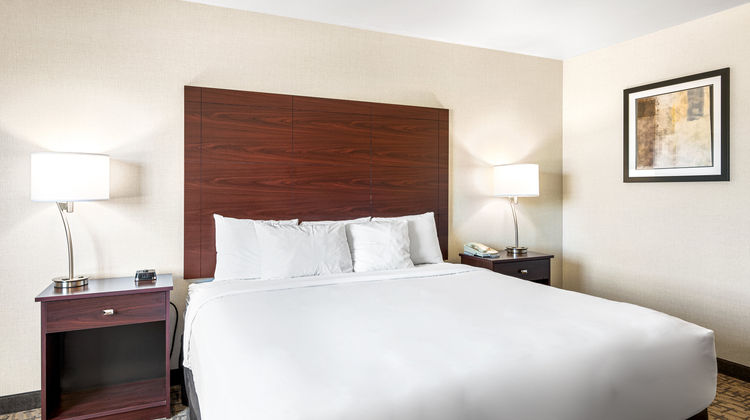 Boarders Inn & Suites by Cobblestone Room