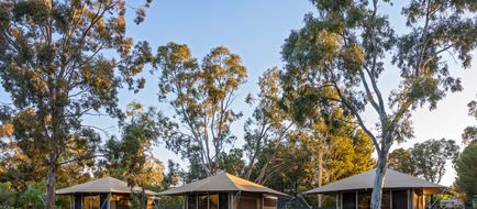Discovery Parks Barossa Valley Exterior
