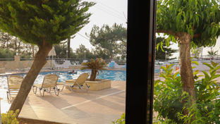 Adel Paradise