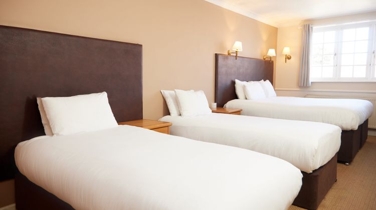 Bear Hotel Room