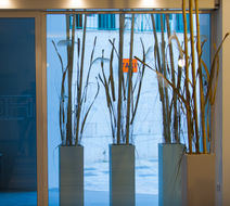 Executive Inn Boutique Hotel Lobby