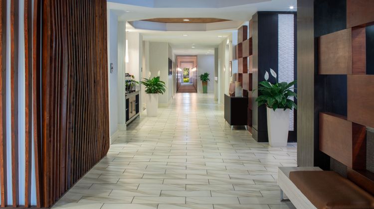 SpringHill Suites Orlando Convention Ctr Lobby