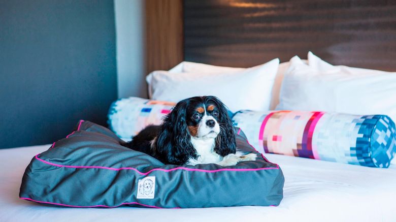 <b>Aloft Miami Dadeland Other</b>. Images powered by <a href="https://www.leonardoworldwide.com/" title="Leonardo Worldwide" target="_blank">Leonardo</a>.