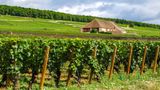 <b>Voco Beaune Other</b>. Images powered by <a href="https://www.leonardoworldwide.com/" title="Leonardo Worldwide" target="_blank">Leonardo</a>.