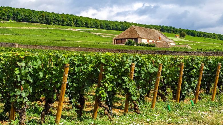 <b>Voco Beaune Other</b>. Images powered by <a href="https://www.leonardoworldwide.com/" title="Leonardo Worldwide" target="_blank">Leonardo</a>.