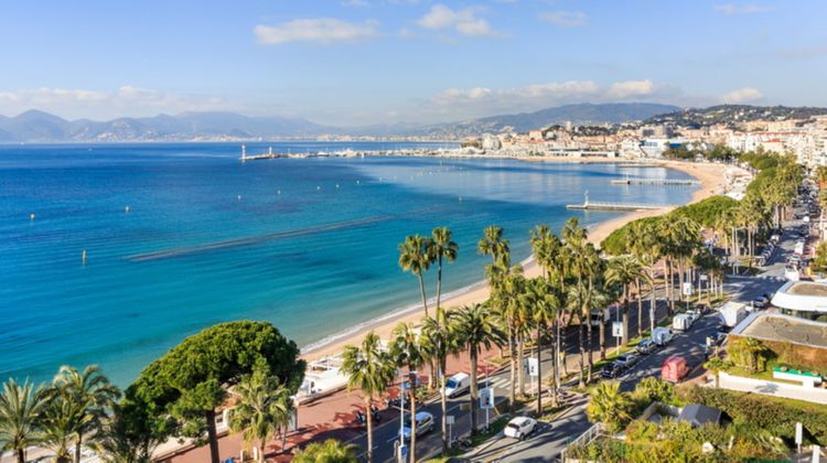 Staybridge Suites Cannes Centre Other
