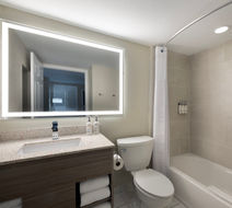 Holiday Inn Resort Orlando Suites - Wate Room
