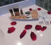Green Hotel Room