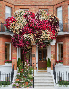 Egerton House