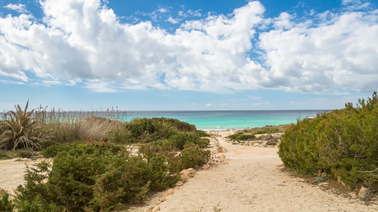 <b>Dunas de Formentera Beach</b>. Images powered by <a href="https://www.leonardoworldwide.com/" title="Leonardo Worldwide" target="_blank">Leonardo</a>.