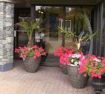 Accent Inn Vancouver Airport Exterior