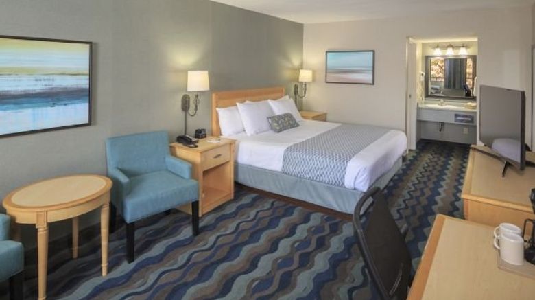 <b>Accent Inn Vancouver Airport Room</b>. Images powered by <a href="https://www.leonardoworldwide.com/" title="Leonardo Worldwide" target="_blank">Leonardo</a>.