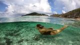Scrub Island Resort, Spa & Marina Other