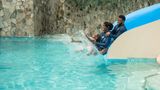Scrub Island Resort, Spa & Marina Recreation