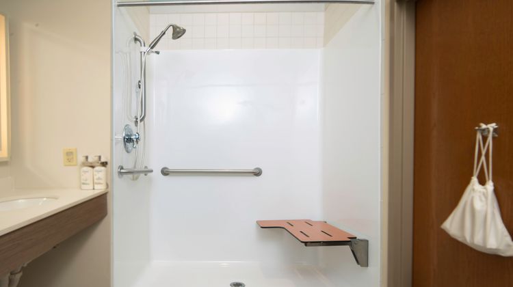 Holiday Inn Express Hotel & Suites Room