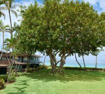 Royal Lahaina Resort & Bungalows Exterior