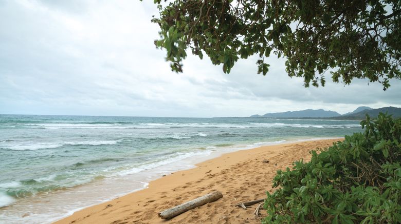 <b>Kauai Coast Resort at the Beachboy Beach</b>. Images powered by <a href="https://www.leonardoworldwide.com/" title="Leonardo Worldwide" target="_blank">Leonardo</a>.