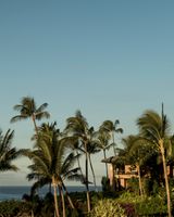 Four Seasons Resort Lanai