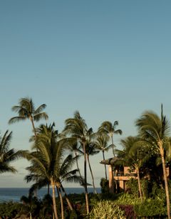 Four Seasons Resort Lanai