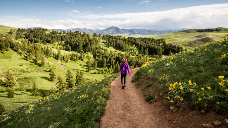 <b>EVEN Hotel Bozeman Yellowstone Intl Arpt Other</b>. Images powered by <a href="https://www.leonardoworldwide.com/" title="Leonardo Worldwide" target="_blank">Leonardo</a>.