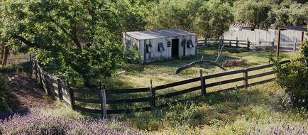 The Ranch at Live Oak Exterior