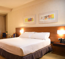 Sercotel Palacio de Tudemir Room