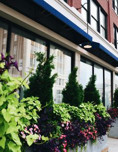 Hotel Indigo Kansas City-The Crossroads