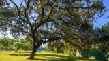 Criso Jardines de Cordoba Exterior