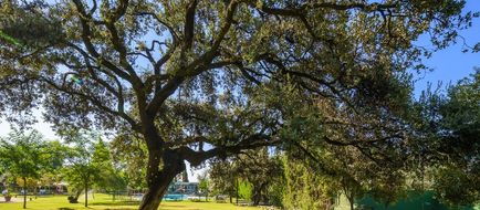 Criso Jardines de Cordoba Exterior