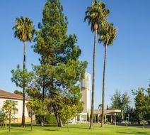 Criso Jardines de Cordoba Exterior