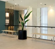 City Express Plus by Marriott Centro Lobby