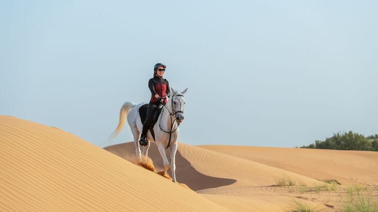 Al Maha, Luxury Collection Desert Resort Other