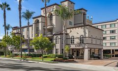 Peacock Suites