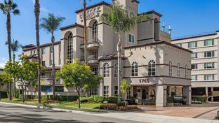Peacock Suites