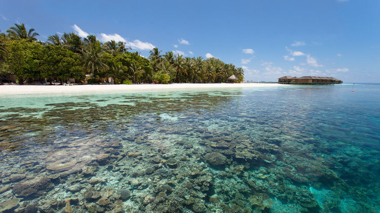 Vilamendhoo Island Resort Beach