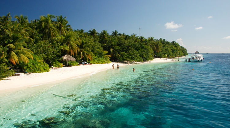Vilamendhoo Island Resort Beach