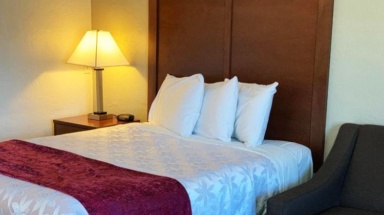 Red Carpet Inn Room