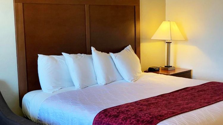 Red Carpet Inn Room
