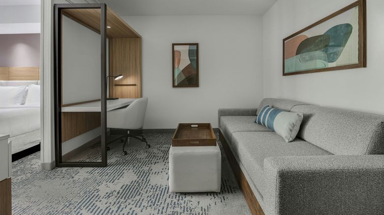 <b>SpringHill Suites Jacksonville Airport Room</b>. Images powered by <a href="https://www.leonardoworldwide.com/" title="Leonardo Worldwide" target="_blank">Leonardo</a>.